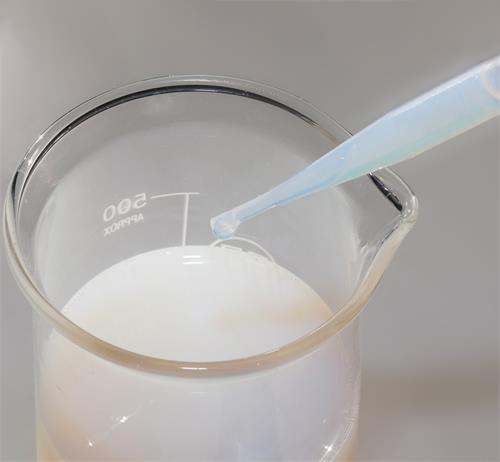 IMG_2023-1_看圖王.jpg IMG_2023-1_看圖王.jpg