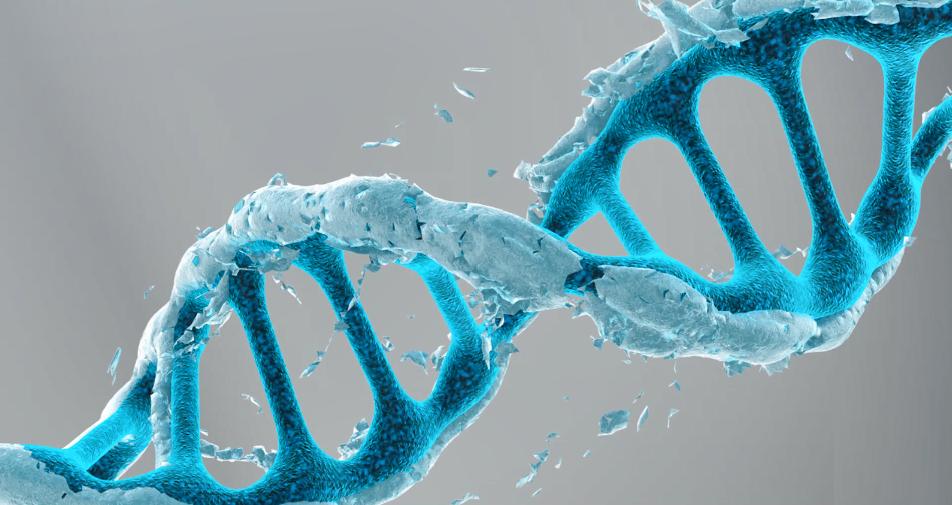 微信圖片_20200422152526.png 微信圖片_20200422152526.png